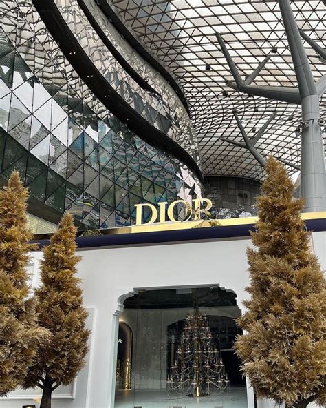 dior ion orchard reviews